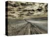 USA, Washington State, Palouse. Country backroad through spring crops-Terry Eggers-Stretched Canvas