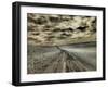 USA, Washington State, Palouse. Country backroad through spring crops-Terry Eggers-Framed Photographic Print