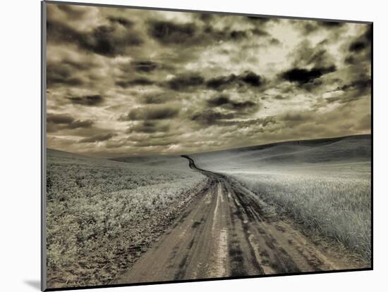 USA, Washington State, Palouse. Country backroad through spring crops-Terry Eggers-Mounted Photographic Print