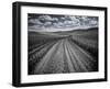 USA, Washington State, Palouse. Country backroad through spring crops-Terry Eggers-Framed Photographic Print