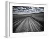 USA, Washington State, Palouse. Country backroad through spring crops-Terry Eggers-Framed Photographic Print