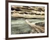 USA, Washington State, Palouse. Country backroad through spring crops-Terry Eggers-Framed Photographic Print