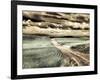 USA, Washington State, Palouse. Country backroad through spring crops-Terry Eggers-Framed Photographic Print