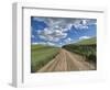 USA, Washington State, Palouse, Country Backroad through Spring wheat fields-Terry Eggers-Framed Photographic Print