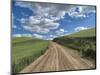 USA, Washington State, Palouse, Country Backroad through Spring wheat fields-Terry Eggers-Mounted Photographic Print