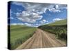 USA, Washington State, Palouse, Country Backroad through Spring wheat fields-Terry Eggers-Stretched Canvas