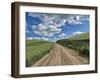 USA, Washington State, Palouse, Country Backroad through Spring wheat fields-Terry Eggers-Framed Photographic Print