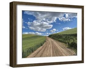 USA, Washington State, Palouse, Country Backroad through Spring wheat fields-Terry Eggers-Framed Photographic Print