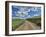 USA, Washington State, Palouse, Country Backroad through Spring wheat fields-Terry Eggers-Framed Photographic Print