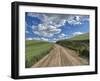 USA, Washington State, Palouse, Country Backroad through Spring wheat fields-Terry Eggers-Framed Photographic Print