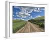 USA, Washington State, Palouse, Country Backroad through Spring wheat fields-Terry Eggers-Framed Photographic Print