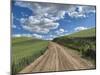 USA, Washington State, Palouse, Country Backroad through Spring wheat fields-Terry Eggers-Mounted Photographic Print