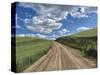 USA, Washington State, Palouse, Country Backroad through Spring wheat fields-Terry Eggers-Stretched Canvas