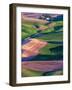 USA, Washington State, Palouse Country, Barn in Spring Wheat Fields-Terry Eggers-Framed Photographic Print