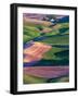 USA, Washington State, Palouse Country, Barn in Spring Wheat Fields-Terry Eggers-Framed Photographic Print