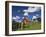 USA, Washington State, Palouse Country, Colfax, Old Red Barn with a Horse-Terry Eggers-Framed Premium Photographic Print