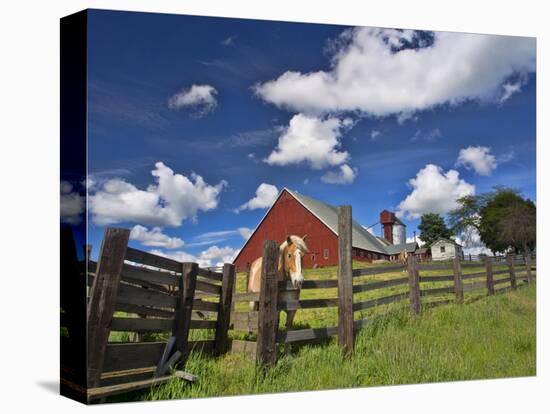 USA, Washington State, Palouse Country, Colfax, Old Red Barn with a Horse-Terry Eggers-Stretched Canvas