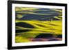 USA, Washington State, Palouse Country, Lone Tree in Wheat Field-Terry Eggers-Framed Photographic Print