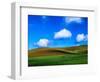 USA, Washington State, Palouse Country, Spring Wheat Field and Clouds-Terry Eggers-Framed Photographic Print