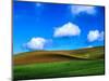USA, Washington State, Palouse Country, Spring Wheat Field and Clouds-Terry Eggers-Mounted Photographic Print