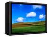 USA, Washington State, Palouse Country, Spring Wheat Field and Clouds-Terry Eggers-Framed Stretched Canvas