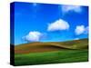 USA, Washington State, Palouse Country, Spring Wheat Field and Clouds-Terry Eggers-Stretched Canvas