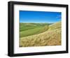 USA, Washington State, Palouse. Crop lines and patterns-Terry Eggers-Framed Photographic Print