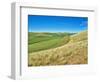 USA, Washington State, Palouse. Crop lines and patterns-Terry Eggers-Framed Photographic Print