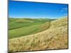 USA, Washington State, Palouse. Crop lines and patterns-Terry Eggers-Mounted Photographic Print