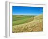 USA, Washington State, Palouse. Crop lines and patterns-Terry Eggers-Framed Photographic Print