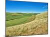 USA, Washington State, Palouse. Crop lines and patterns-Terry Eggers-Mounted Photographic Print