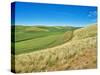 USA, Washington State, Palouse. Crop lines and patterns-Terry Eggers-Stretched Canvas