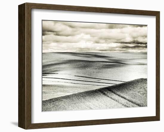 USA, Washington State, Palouse. Crops growing on the rolling hills of the Palouse-Terry Eggers-Framed Photographic Print