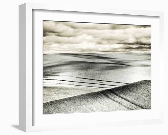 USA, Washington State, Palouse. Crops growing on the rolling hills of the Palouse-Terry Eggers-Framed Photographic Print