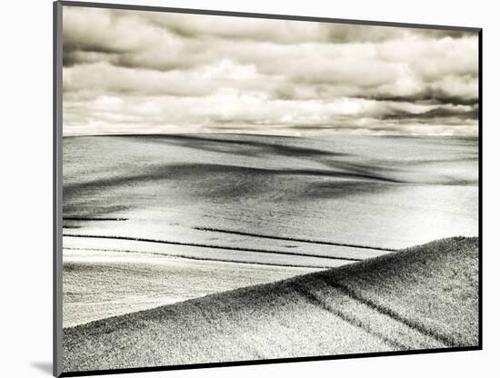 USA, Washington State, Palouse. Crops growing on the rolling hills of the Palouse-Terry Eggers-Mounted Photographic Print