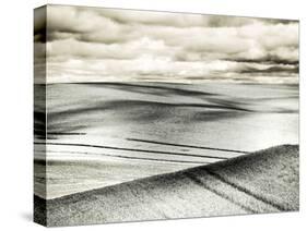 USA, Washington State, Palouse. Crops growing on the rolling hills of the Palouse-Terry Eggers-Stretched Canvas