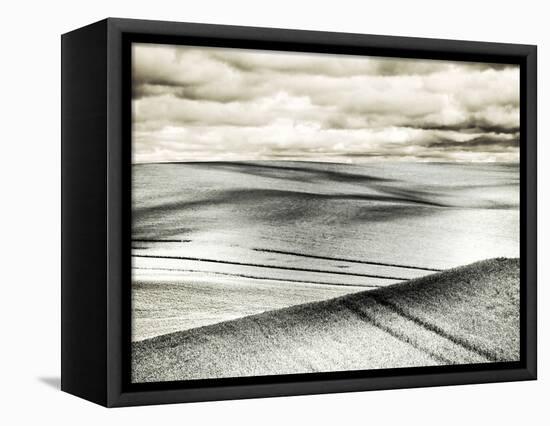 USA, Washington State, Palouse. Crops growing on the rolling hills of the Palouse-Terry Eggers-Framed Stretched Canvas