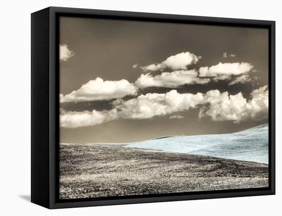 USA, Washington State, Palouse. Crops growing on the rolling hills of the Palouse-Terry Eggers-Framed Stretched Canvas