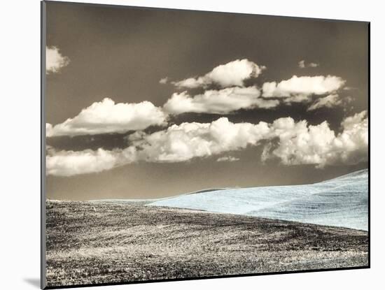 USA, Washington State, Palouse. Crops growing on the rolling hills of the Palouse-Terry Eggers-Mounted Photographic Print