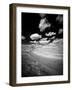 USA, Washington State, Palouse. Crops growing on the rolling hills of the Palouse-Terry Eggers-Framed Photographic Print