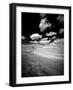 USA, Washington State, Palouse. Crops growing on the rolling hills of the Palouse-Terry Eggers-Framed Photographic Print