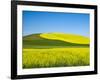 USA, Washington State, Palouse. Field of canola and wheat in full bloom-Terry Eggers-Framed Photographic Print