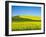 USA, Washington State, Palouse. Field of canola and wheat in full bloom-Terry Eggers-Framed Photographic Print