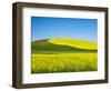 USA, Washington State, Palouse. Field of canola and wheat in full bloom-Terry Eggers-Framed Photographic Print