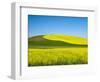 USA, Washington State, Palouse. Field of canola and wheat in full bloom-Terry Eggers-Framed Photographic Print