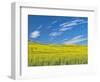 USA, Washington State, Palouse. Field of canola in full bloom-Terry Eggers-Framed Photographic Print