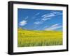 USA, Washington State, Palouse. Field of canola in full bloom-Terry Eggers-Framed Photographic Print
