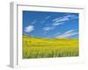 USA, Washington State, Palouse. Field of canola in full bloom-Terry Eggers-Framed Photographic Print