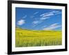 USA, Washington State, Palouse. Field of canola in full bloom-Terry Eggers-Framed Photographic Print