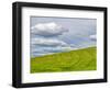 USA, Washington State, Palouse. Field of spring wheat with seed lines-Terry Eggers-Framed Photographic Print